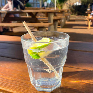 Gin and tonic with wheat drinking straw